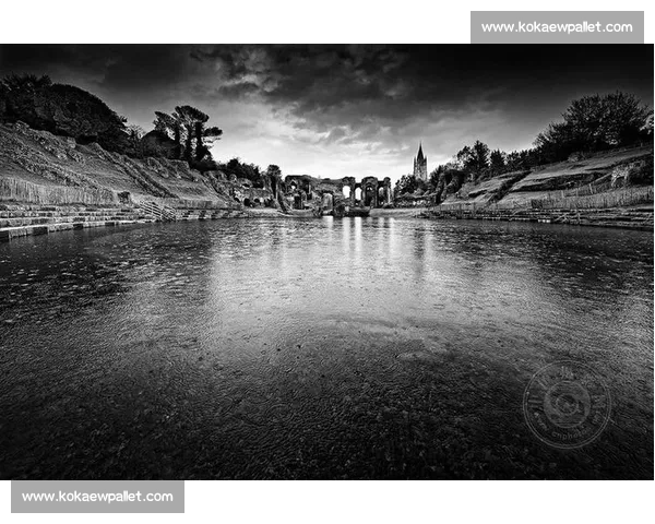 业余摄影爱好者精彩瞬间创意作品大赛精彩回顾与分享