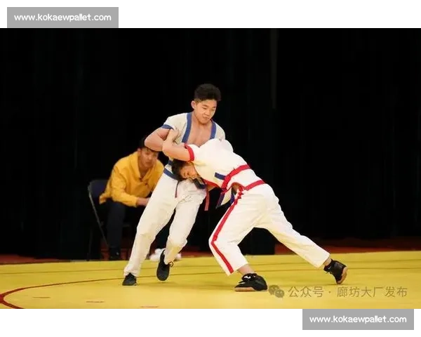 中国式摔跤比赛精彩瞬间全记录 技巧与力量的完美碰撞 中国式摔跤比赛精彩瞬间全记录 技巧与力量的完美碰撞